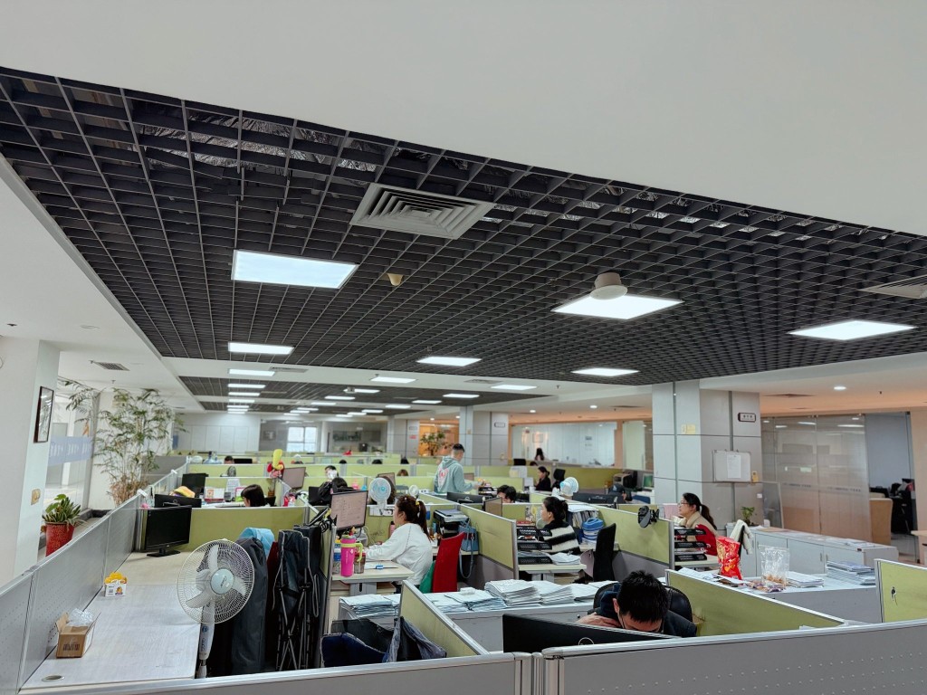 SINO Shipping厦门团队工作场景