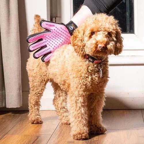 How to Import Wholesale Pet Grooming Gloves from China 1 pet grooming gloves 291796